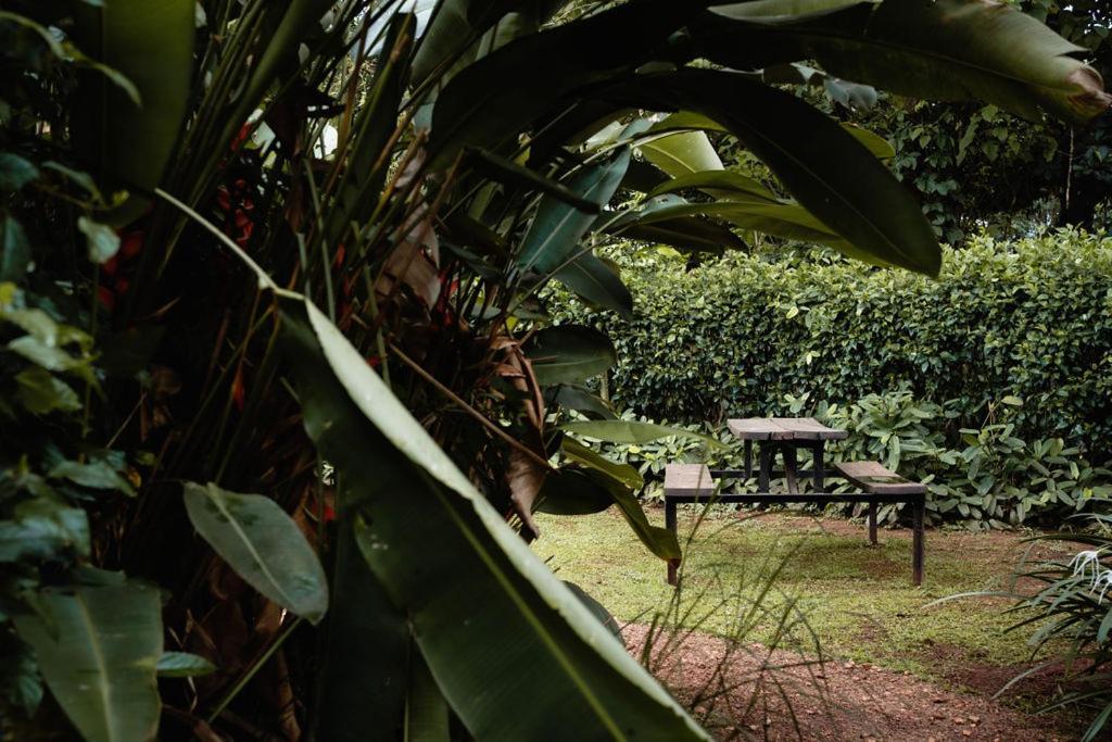 Bed and Breakfast 30 Wilson Jinja Exterior foto